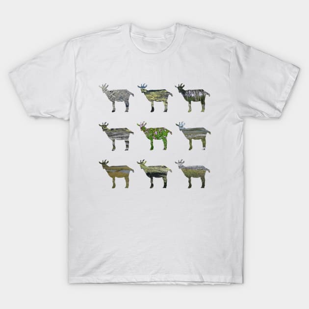 Ode to the Burren goats T-Shirt by WesternExposure